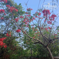 фото из отзыва ID 2262124