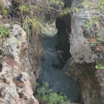 фото из отзыва ID 2262124