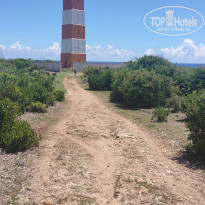 фото из отзыва ID 2262124