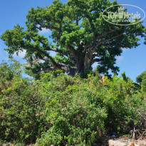 фото из отзыва ID 2262124