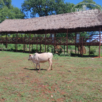 фото из отзыва ID 2262124