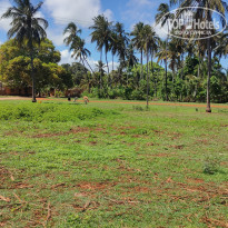 фото из отзыва ID 2262124