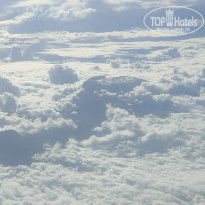 фото из отзыва ID 2262124