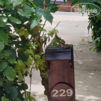 фото из отзыва ID 2263167