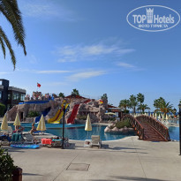 фото из отзыва ID 2263208