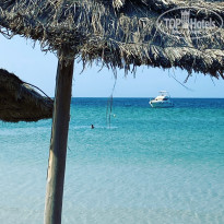 фото из отзыва ID 2263244