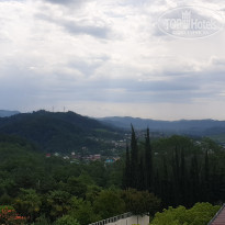 фото из отзыва ID 2263310