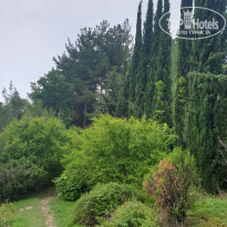 фото из отзыва ID 2263310