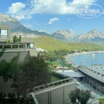 фото из отзыва ID 2263335