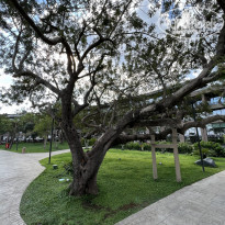 фото из отзыва ID 2263335