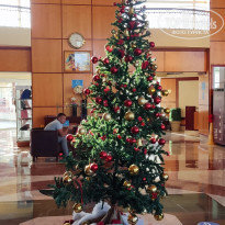 фото из отзыва ID 2263228