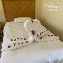 фото из отзыва ID 2263228