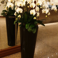 фото из отзыва ID 2263408