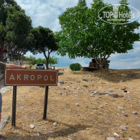 фото из отзыва ID 2263433