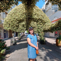 фото из отзыва ID 2263433