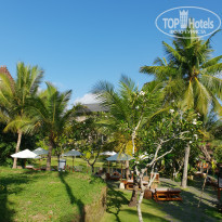 фото из отзыва ID 2263439