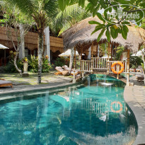 фото из отзыва ID 2263439