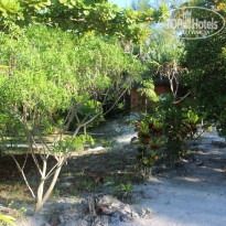 фото из отзыва ID 2262124