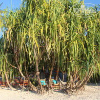 фото из отзыва ID 2262124