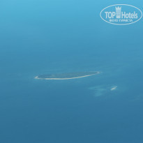 фото из отзыва ID 2262124