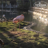 фото из отзыва ID 2263485