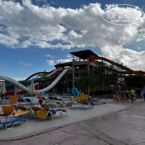 фото из отзыва ID 2263518