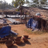 фото из отзыва ID 2263535