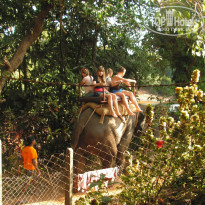 фото из отзыва ID 2263535