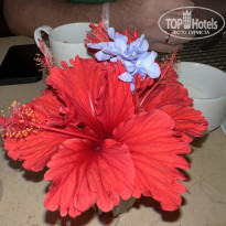 фото из отзыва ID 2263618