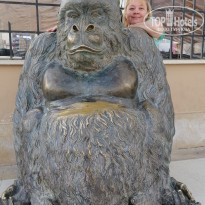 фото из отзыва ID 2263611