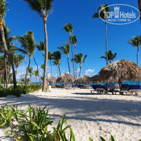 фото из отзыва ID 2263696