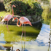 фото из отзыва ID 2263696