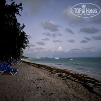 фото из отзыва ID 2263880