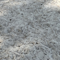 фото из отзыва ID 2263880