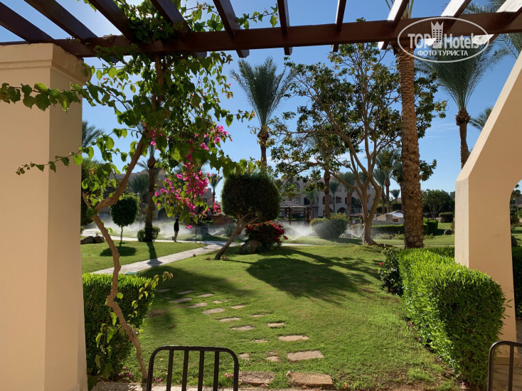 Jaz Neo Saraya Palms