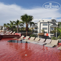 фото из отзыва ID 2264142