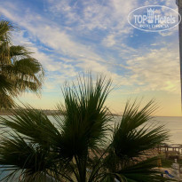 фото из отзыва ID 2264144