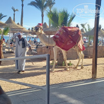 фото из отзыва ID 2264236