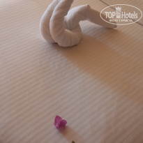 фото из отзыва ID 2264236