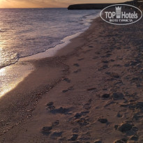 фото из отзыва ID 2264390