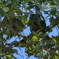 фото из отзыва ID 2264427