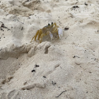 фото из отзыва ID 2264427