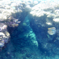 фото из отзыва ID 2264533