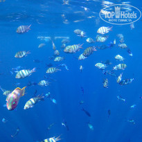 фото из отзыва ID 2264533