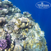 фото из отзыва ID 2264533