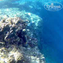 фото из отзыва ID 2264533