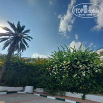 фото из отзыва ID 2263080