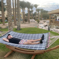 фото из отзыва ID 2264564