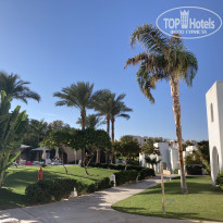 фото из отзыва ID 2264590