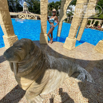 фото из отзыва ID 2264651